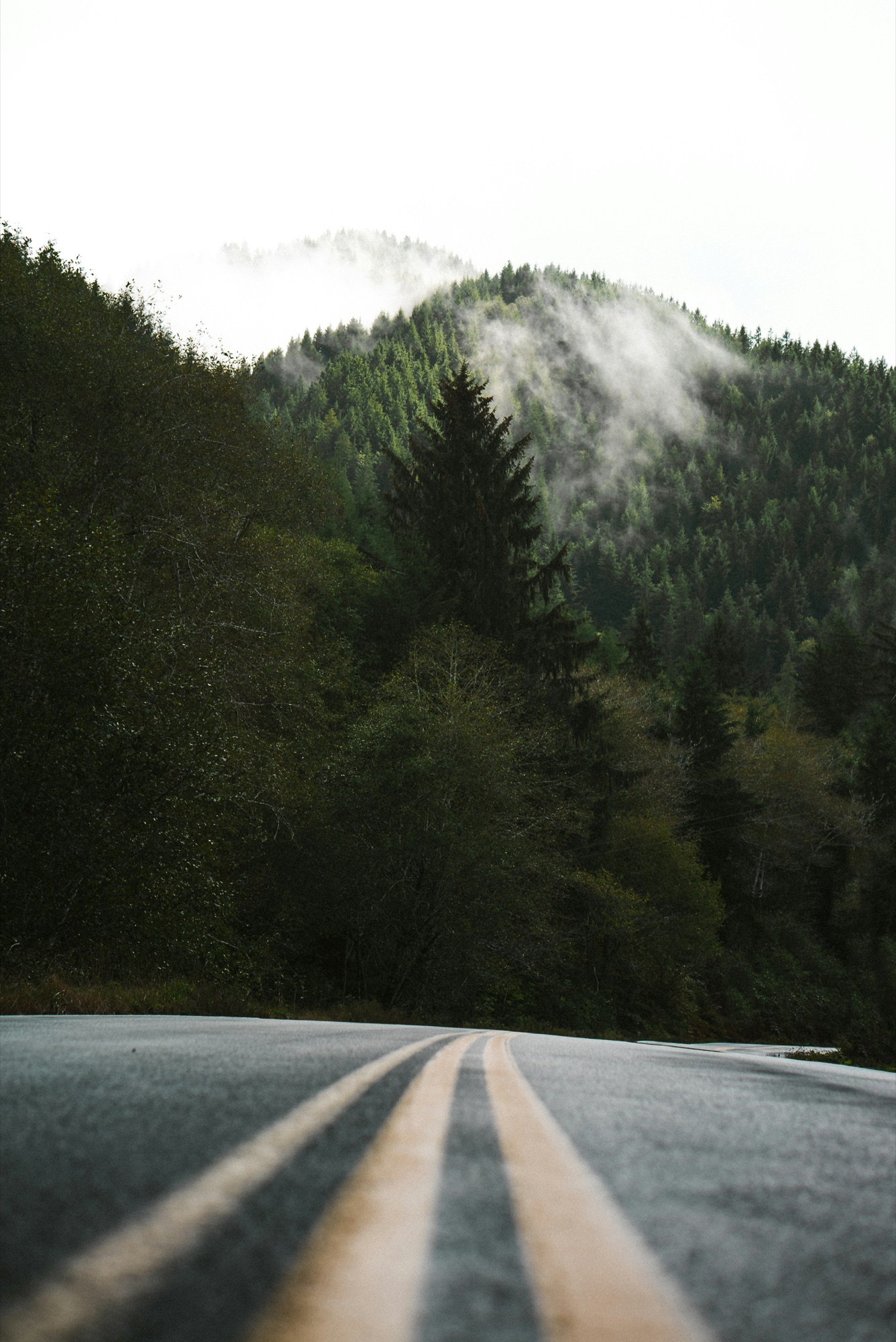 A real outdoor road used for a climbing route concept