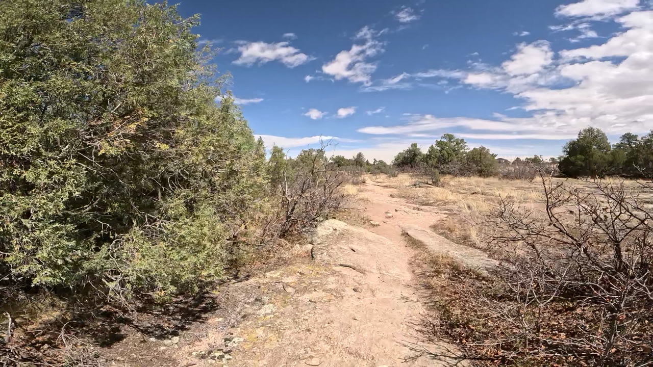 A sandy trail past juniper and dry brush under a bright sky.