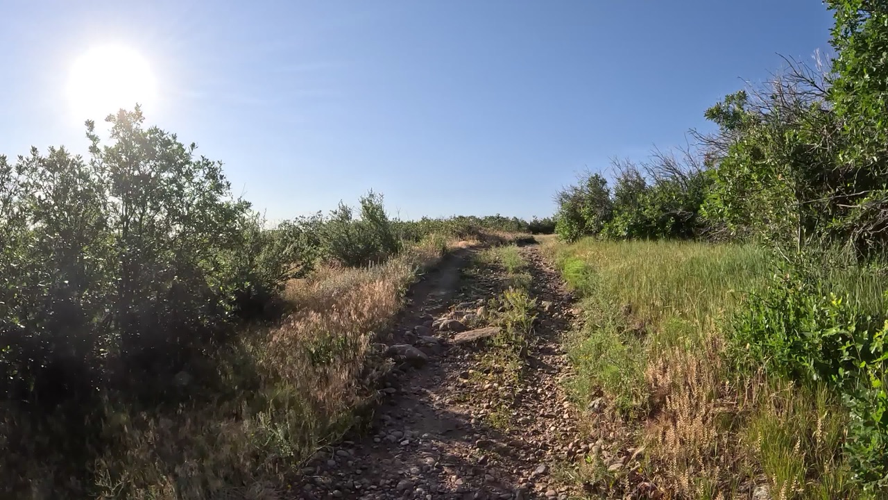 A rocky double-track trail through scrub and grass under a clear sky.